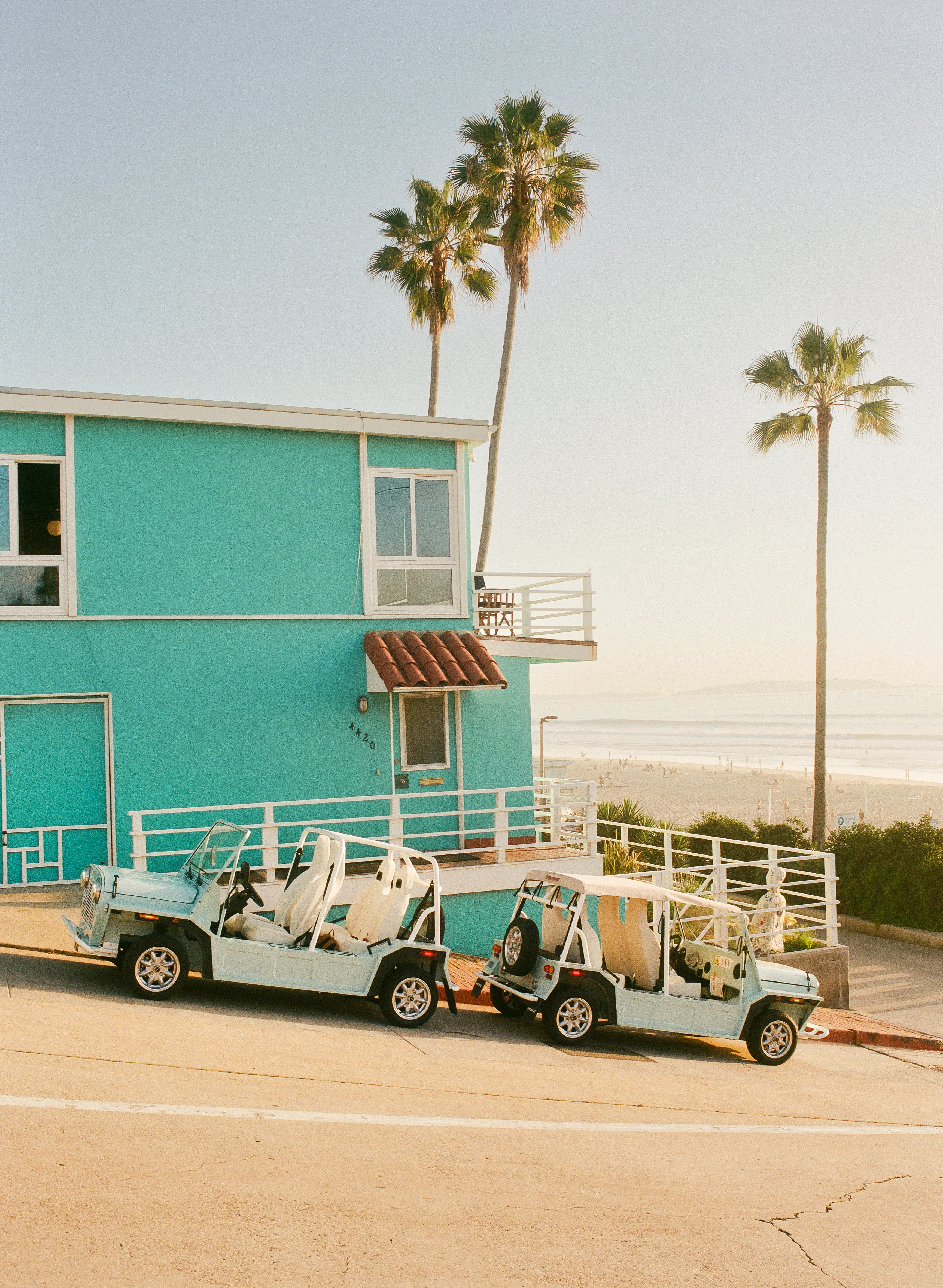 Moke parked under palm trees with ocean in background