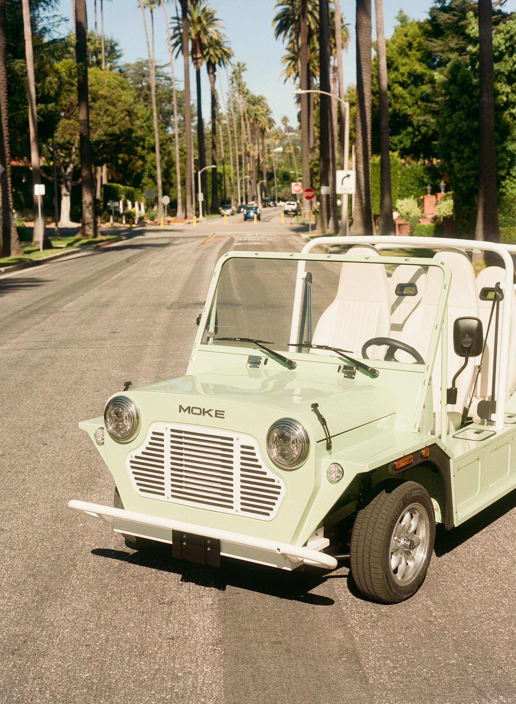 Moke on a palm-lined residential street