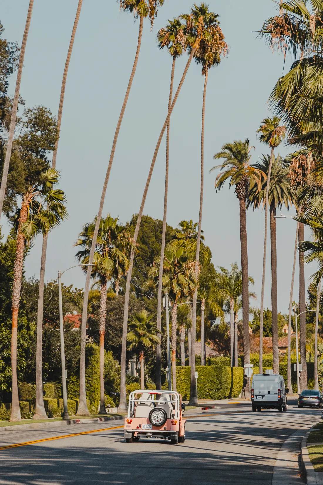 A Moke driving down a palm-lined Beverly Hills street
