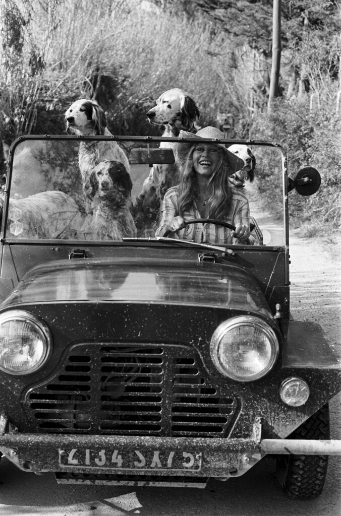 Brigitte Bardot laughing behind the wheel of her Mini Moke, surrounded by dogs, black and white photograph
