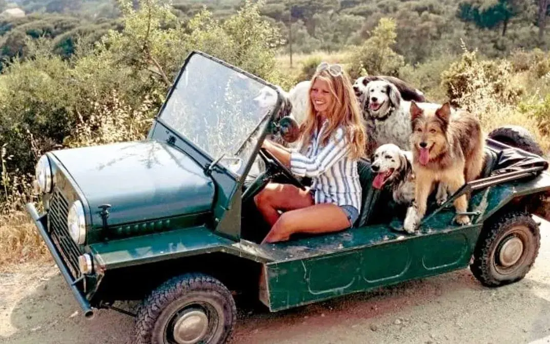 A woman laughing behind the wheel of a green Mini Moke with several large dogs packed in
